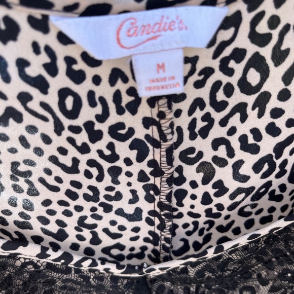 Leopard tank - Picture 2 of 3